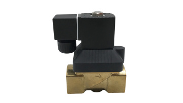 6213 A 1'' 2 Way Normally Closed Brass Solenoid Valve 12V 24V 110V 220V