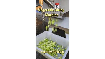 melon dicing machine