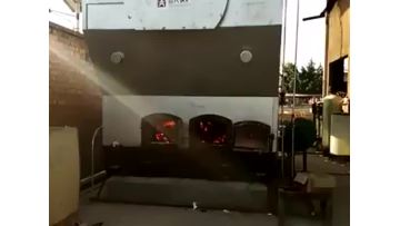 DZH1