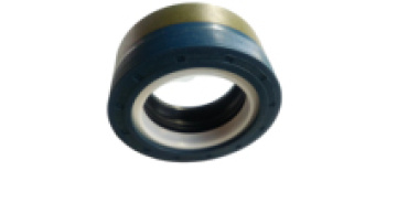DMHUI  RWDR KOMBI type Firm in structure  40*60*25 mm oil seals for  247514A11