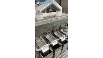 WPV350 salt packing machine