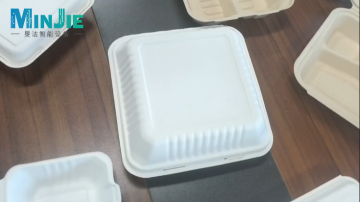 Molded fiber lock box