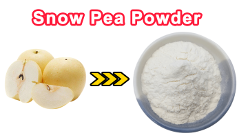 Snow Pear Powder