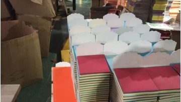 FL-5545TBH For packing soft paper stack in factory
