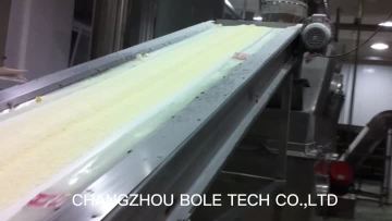 Vibrating fluid bed dryer