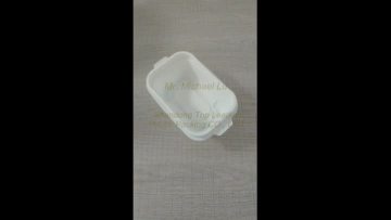 pp food tray