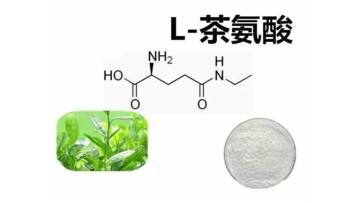 L-theanine powder
