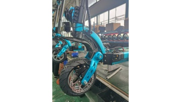 Electric scooter assem