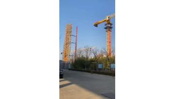 Tower Crane
