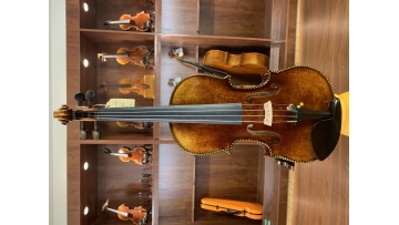 violin-GFS-1
