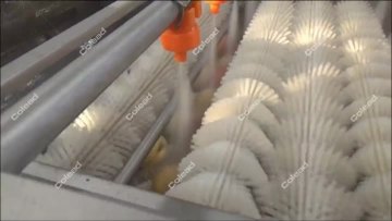 Brush Washing Machine for Apple
