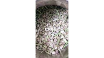 Citronella