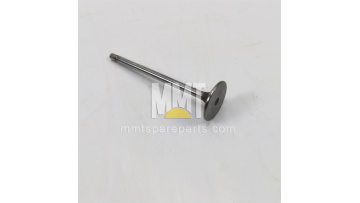 Exhasut Valve 490-1728