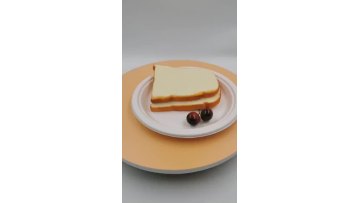 UYP006biodegradable sugarcane bagasse plate