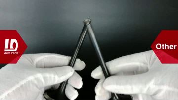 Are you still looking for high-quality, affordable engine valves? Come here and have a look!