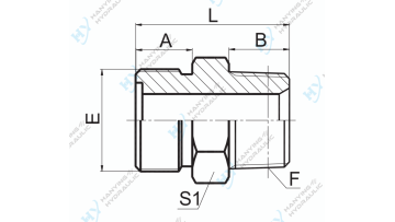 Metric Male O-Ring NPT Male