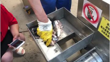 cooked fish meat separator