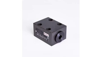 RVP10 Check valve