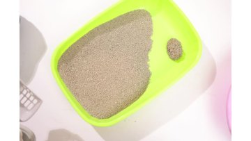 Crushed Bentonite Cat Litter