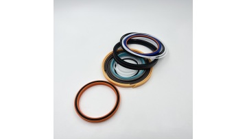 SANY Boom Cylinder Seal Kit