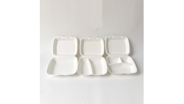 Bagasse pulp clamshell