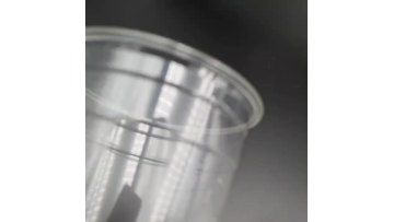 Corn Starch PLA Cup2