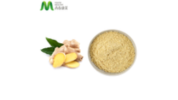 Bulk Price Hot Sales Dried Ginger Powder1
