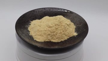 Rice Protein Powder 