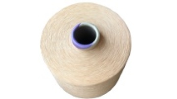 FD Full Dull Polyester Blind Yarn DTY 300D/96F NIM1