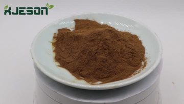 Ginkgo Biloba Extract Powder