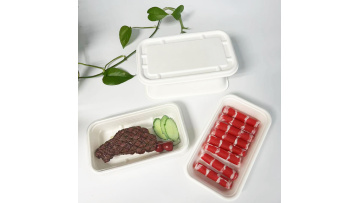 750ml and 1000ml bagasse tray