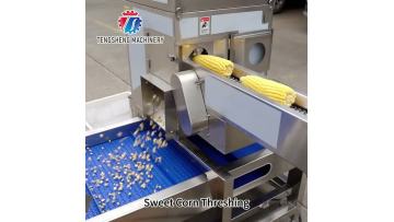 Sweet Corn Threshing-Washing-Blanching Line
