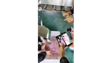 Onion Dicing Machine
