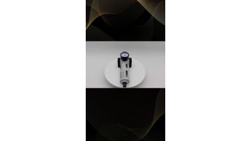 2023 new Pneumatic Filter Regulator