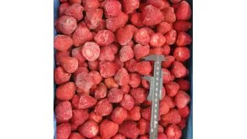 BRC Certified IQF Frozen Diced Mango1