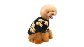 xxs pet clothing