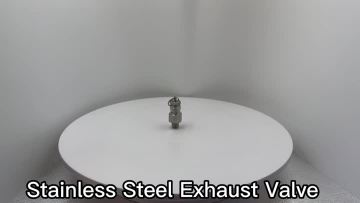 Exhaust Valve1915