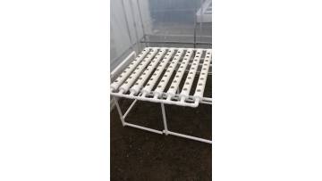 Hydroponic