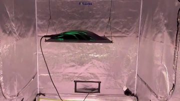320w led grow light (3)
