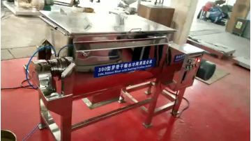 WLDH Ribbon Mixer