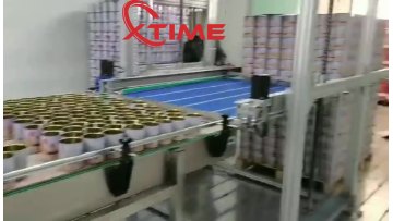 High accuracy best price automatic ghee/sauce/paste filling machine with servo driven piston type1