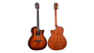TS62 acoustic guitar
