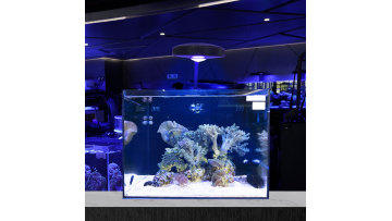 marine aquarium lamp