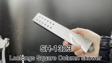 New Model Single Functional High Pressure Portable Spray Chrome Shower Head1