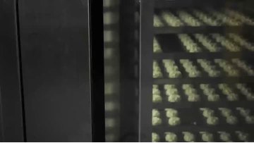 Low-Sugar Whole Grain Cookies