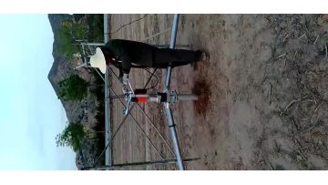 drilling machine