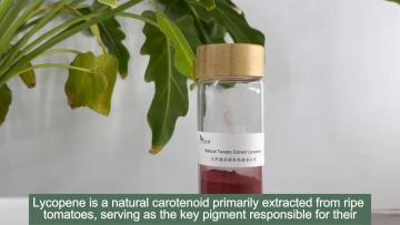 Natural Tomato Extract Lycopene