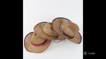 Fashion summer Sun beach straw cowboy hats