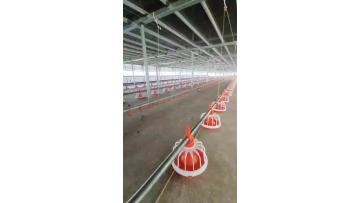 Feeding and drinking system video