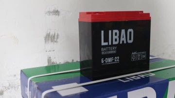 22Ah Lead-acid Battery
